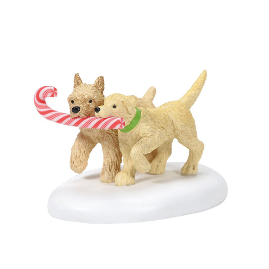 Department 56 Peppermint Pups