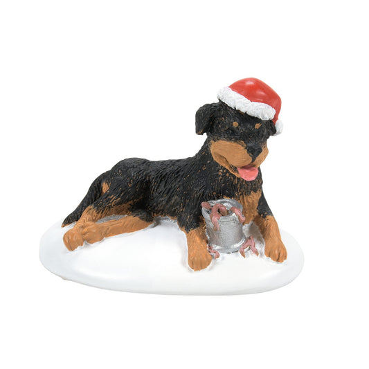 Department 56 A Perfect Gift For Snots
